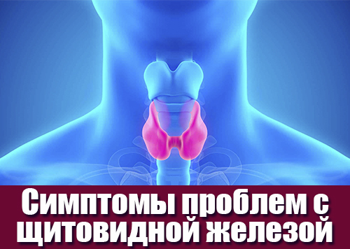 Тревожные признаки, указывающие на проблемы с щитовидной железой